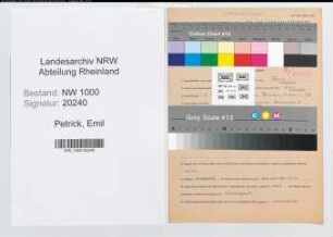 Entnazifizierung Emil Petrick, geb. 09.03.1902 (Kaufmann)