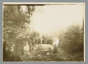 Portrait einer jungen Frau im Wald