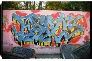 RAitS