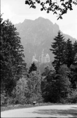 Schwangau: Schloss Neuschwanstein zwischen Waldschneise