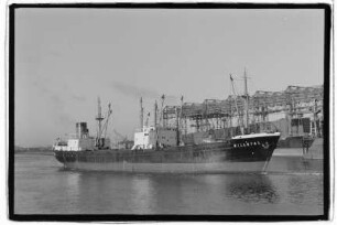Billetal (1953), Frachtschiff, Reinecke, Hamburg, Bau-Nr. 1279