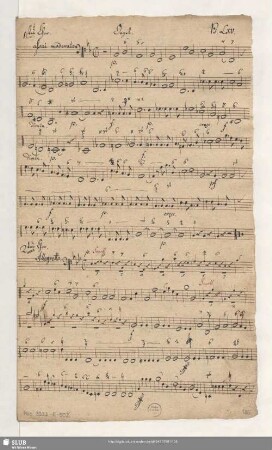 Orgel