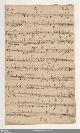 Orgel