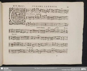 XIV. Cantate Domino canticum novum