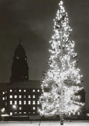 Dresden, beleuchteter Weihnachtsbaum auf dem Altmarkt