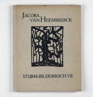 Sturm-Bilderbuch VII