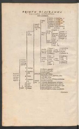 Primum Diagramma Omogenōn Distributionem continens. De Similaribus.