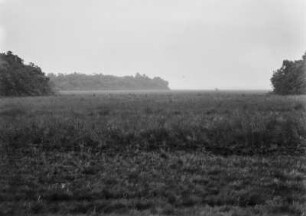 Wiese : Grasland, von Wäldern begrenzt, in Brasilien.