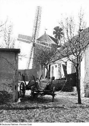 Turmwindmühle. Im Vordergrund Mühlengehöft : Zottewitz (bei Großenhain). Turmwindmühle. Im Vordergrund Mühlengehöft