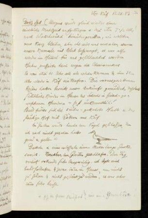 76r-80v 13.IX.-15.IX.1883 Etre - Kaf, mit Plan