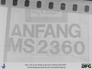MF Mau 2360