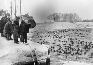 Travemünde. Winter 1956. Besucher schauen in das teilweise zugefrorene Hafenbecken. An freien Stellen tummeln sich Enten und Möwen im Wasser