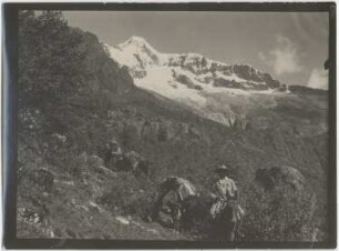 Queñuales in "Cuevas calientes" mit Pico del Norte