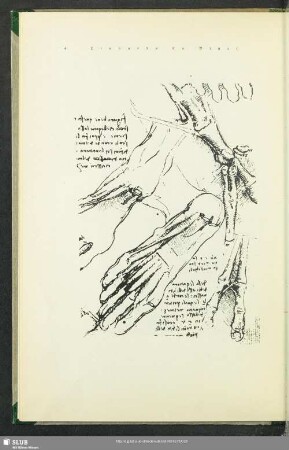 Lionardo da Vinci