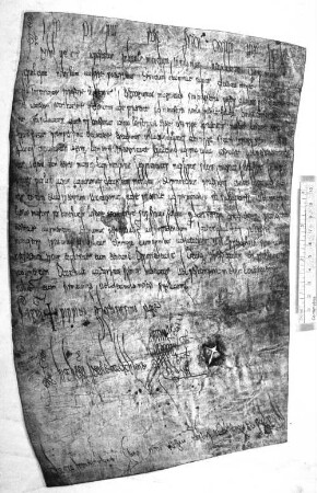 Kaiserurkunden in Abbildungen, [2]. Tafeln