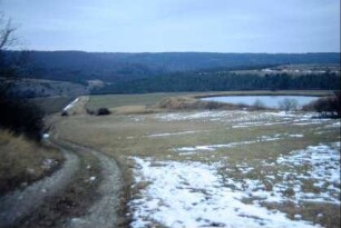 Feldweg, Teich, hinten Wald