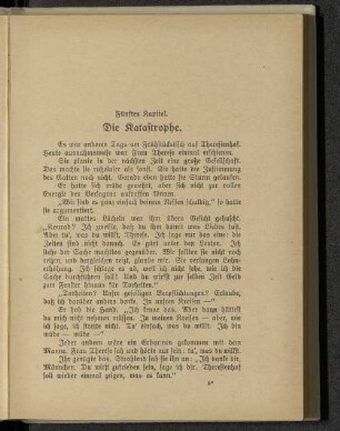 Fünftes Kapitel. Die Katastrophe.