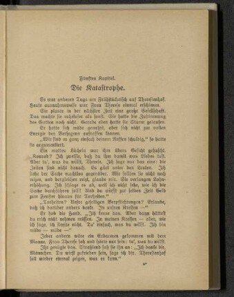 Fünftes Kapitel. Die Katastrophe.
