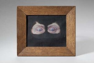 Augen eines Albino