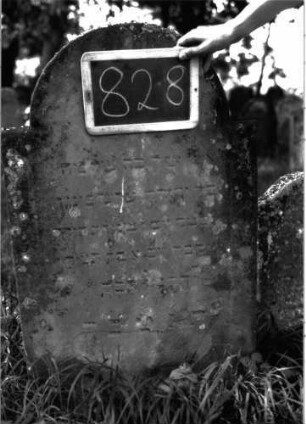 Grabstein 828 (Index: 100102897) Material: Sandstein Zustand: angewittert Maße HxBxT: 103x60x10 cm Beschreibung: Stele, eingezogener Rundbogenabschluss, Schriftfeld eingetieft mit Konvexbogenabschluss: Grabstein 828 (Detailaufnahme)