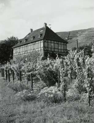 Radebeul, Oberlößnitz, Hoflößnitz mit Weinberg