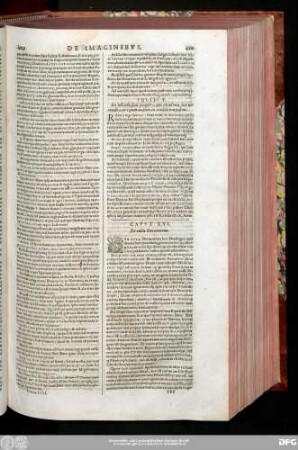 Caput XVI. De cultu Dei externo.