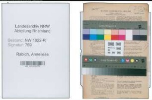 Entnazifizierung Anneliese Rabich , geb. 04.05.1911 (Verwaltungsangestellte)