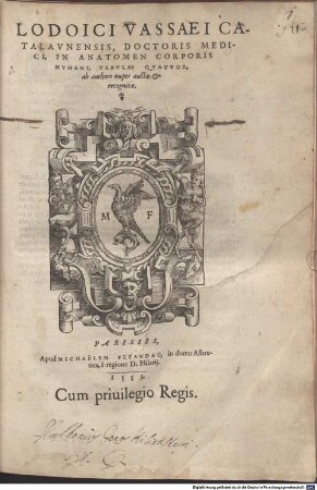 In Anatomen Corporis humani Tabulae quatuor