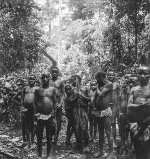 Gruppenportrait : Portrait von Männern und Jungen im Regenwald