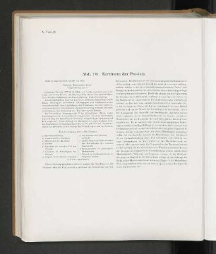 Abb. 138 Karzinom der Prostata