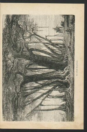 Tafel: Der indische Feigenbaum.