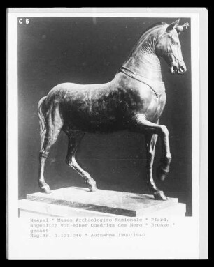 Pferd, angeblich von einer Quadriga des Nero
