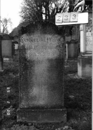 Grabstein 233 (Index: 99798721) Material: Kunststein Zustand: leicht verwittert Maße HxBxT: 115x50x15 cm Beschreibung: Stele mit doppelt eingezogenem Bogenabschluß, Sockel: Grabstein 233