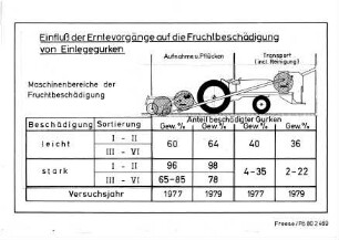 Einfluß der Erntevorgänge auf die Fruchtbeschädigung von Einlegegurken