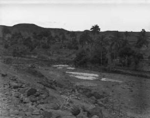 Landschaft : Blick auf eine Landschaft mit Gestein und Palmen westlich von Praia.