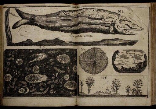 Illustration "Die gebildete Steine No 1-5"