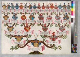 Proband: Boeselager, Maximilian Anton Karl Gallus Maria Anna von; Vater: Boeselager, Friedrich Joseph von; Mutter: Belderbusch, Augusta von: Mark, Grafschaft, Ritterschaft