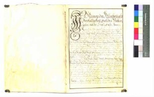 1772 Februar 10, Mannheim Heinrich Hermann Freiherr von Kageneck schließt einen Heiratsvertrag mit Maria Franziska Sturmfeder von und zu Oppenweiler Sg.: Brautpaar und zwölf Zeugen. Or., Perg.