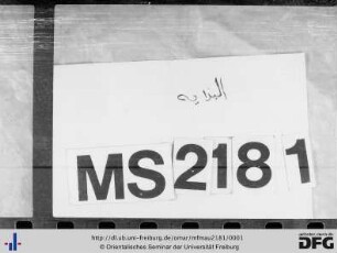 MF Mau 2181