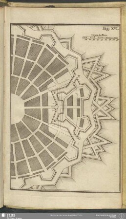 Fig: XVI
