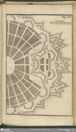 Fig: XVI