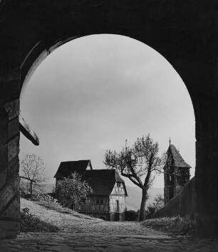 Archivfotografie "neckar_hirschhorn_1452"