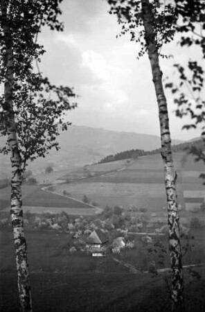 Glotterbad: Blick von der Höhe auf Schwarzwaldhaus; Vordergrund: zwei Birken