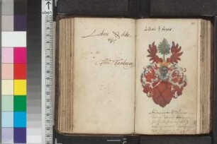 Waldstromer, Christoph; Blatt 37