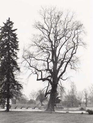 Park, Lampertswalde (Kreis Oschatz)