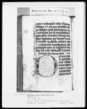 Brevier — Initiale D(omine exaudit), Folio 110verso