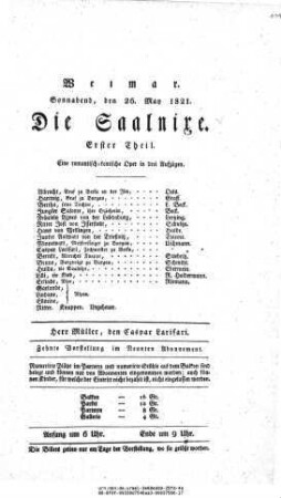 Die Saalnixe