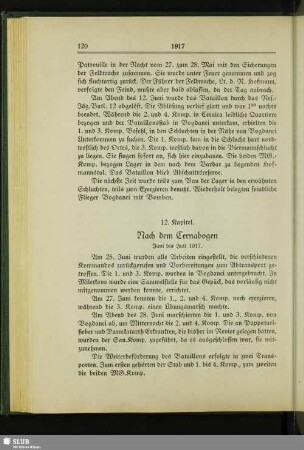 12. Kapitel. Nach dem Cernabogen : Juni bis Juli 1917