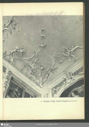 Mosigkau, Schloß, Rokoko-Ornamente im Festsaal
