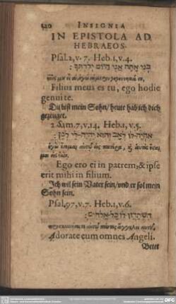 In Epistola Ad Hebraeos